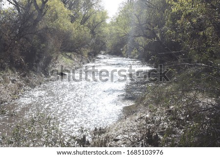 Santa Cruz River in Southern Arizona