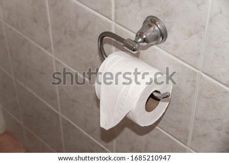 A fresh roll of white toilet paper on a holder