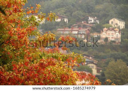 Countryside in an autumn day