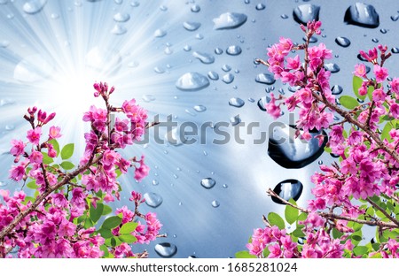 flowers with water drop background