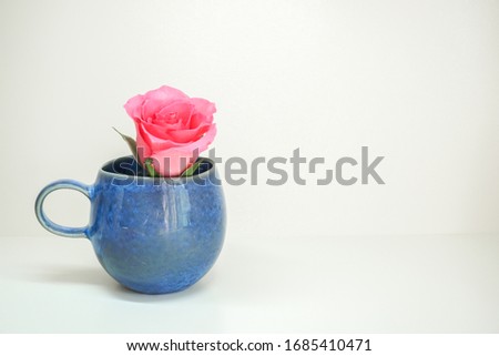 Pink roses in a blue cup with white background. 