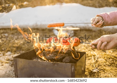picnic in nature barbecue with meat and vegetables