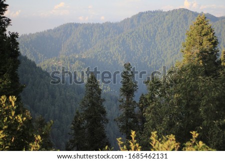 Beautiful mountains and trees in muree.
