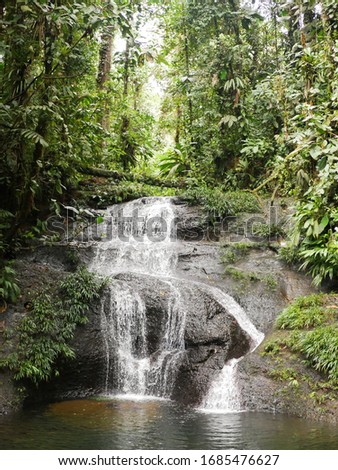 small waterfall in the jungle of Colombia