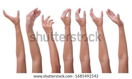 Set of woman hands isolated on white background. Royalty-Free Stock Photo #1685492542