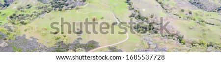 A trail meanders through the green hills of the East Bay in Northern California. This open area, east of San Francisco Bay, is green in the winter due to rain and golden during the summer.