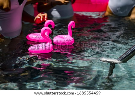3 pink flamingo-shaped floaties accompany the partying girls in the pool.