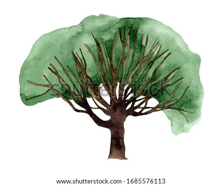 Watercolor  stylized tree on a white background. Hand painting on paper