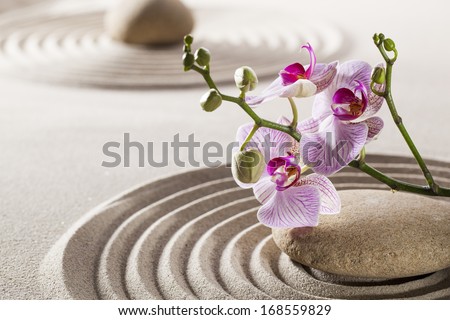 seeking for inner beauty from zen relaxation  Royalty-Free Stock Photo #168559829