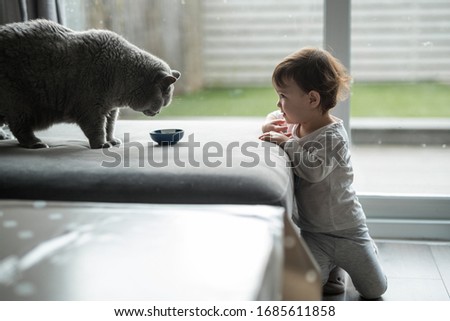 A child leans on a sofa next to a patio door as she looks at her British Short hair cat about to drink from a bowl in a house in Edinburgh, Scotland, United Kingdom
