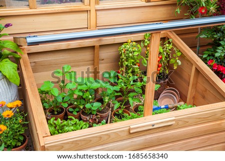 Outdoor wooden cold frame for growing seedlings, vegetables, herbs and fruit. Royalty-Free Stock Photo #1685658340