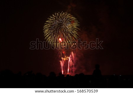 people in silhouette watch a colorful firework show