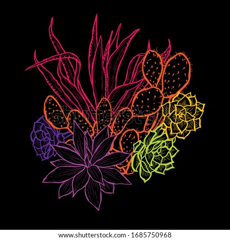 Decorative abstract succulent plants, design elements. Can be used for cards, invitations, banners, posters, print design. Floral background in line art style