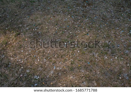 confetti on the ground after the holidays
