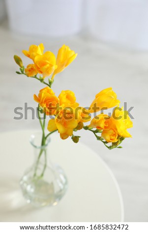 Beautiful yellow freesia flowers on table indoors