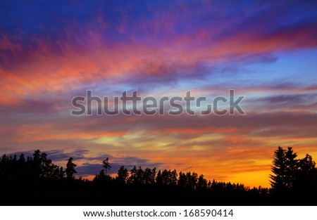 colorful sunset over forest