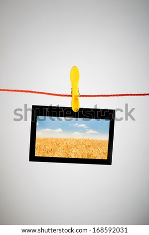 Wheat field on the photo