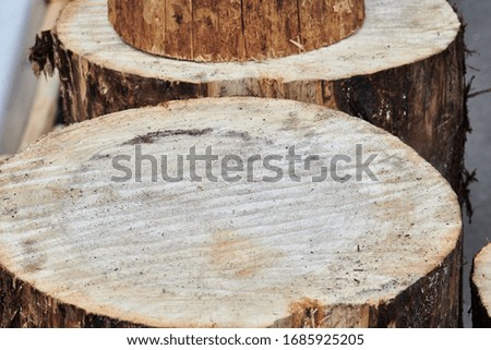 Wooden stumps evenly cut rings