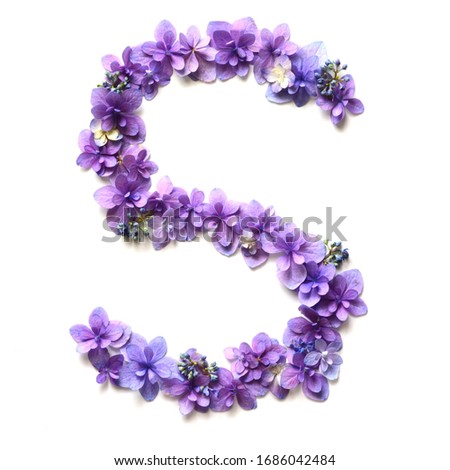 Flower alphabet on a white background 
