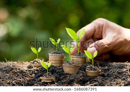 Hand putting coin on coin stack growing graph with green bokeh background,investment concept.tree growing on coin,Business Finance and Save Money concept