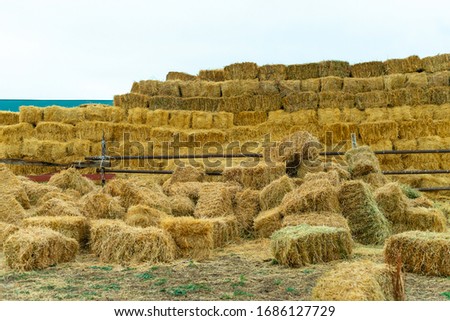 Haystack. Dried straw stack. Square haystack, winter stocks for the farm. Haystack tightly stacked for outdoor storage.