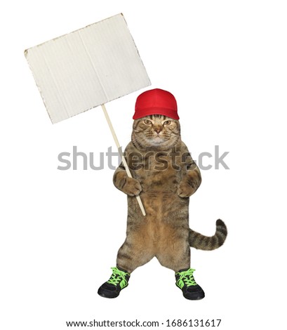 The beige cat in a red cap and sneakers is holding a paper blank white sign on a stick. White background. Isolated.