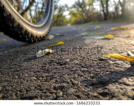 Asphalt on the road close-up and bicycle wheel in the sunlight                    