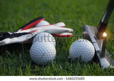  Golf equipment. Golf ball and golf club on green grass  background.  Collection of golf equipment resting on green grass                                
