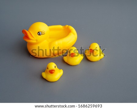 Small tiny yellow duck rubber family swimming