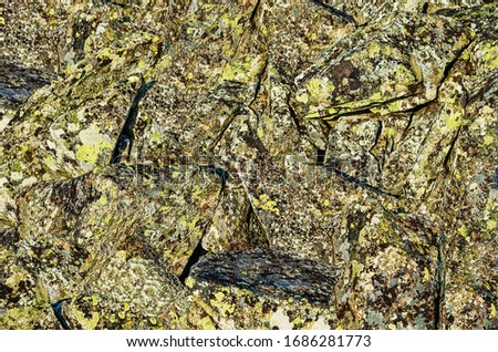 Kurumnik. A pile of rocks covered with moss and lichen on the mountainside