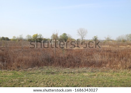 Meadow and trees in early spring. Royalty-Free Stock Photo #1686343027