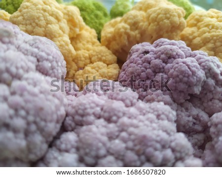 Fresh broccoli of different colors