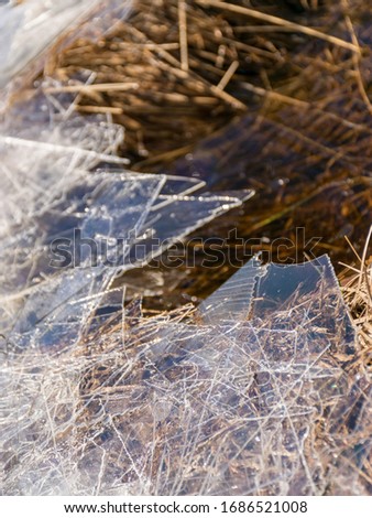 abstract picture background with dry grass, thin ice and water textures, the wind will be destroyed by ice on the coast