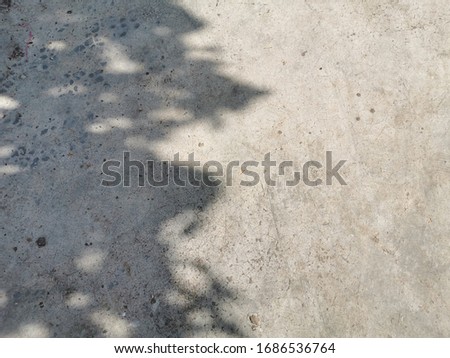Shadow of a tree on a concrete floor