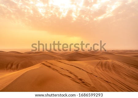 Dubai Desert, United Arab Emirates, UAE