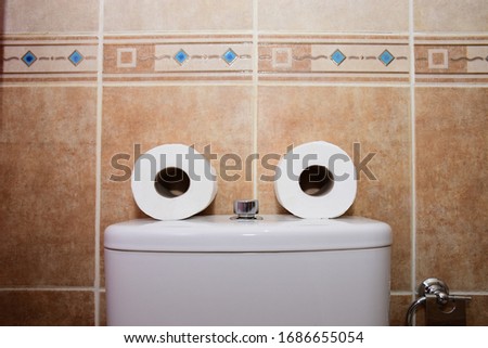 toilet bowl and toilet paper