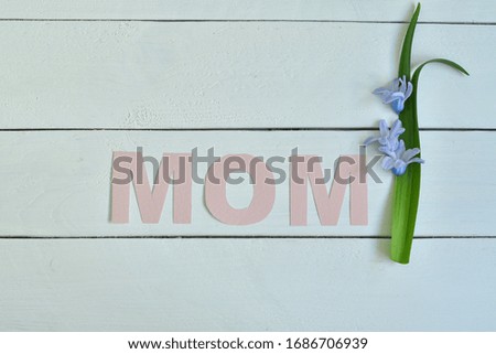 MOM word made with flower petals and leaves. Mother's day natural creative concept background. Copy space