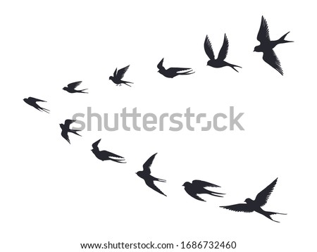 Flying birds flock silhouette. Swallows, sea gull or marine birds isolated on white background. Vector bird icon set flock flying in sky