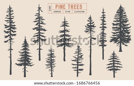 Pine tree silhouette vector illustration hand drawn