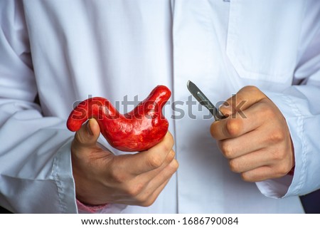 Surgeon held scalpel over anatomical model of human stomach, holding it in his hand against background of body in a white uniform. Concept photo surgical treatment of stomach ailments and procedures Royalty-Free Stock Photo #1686790084