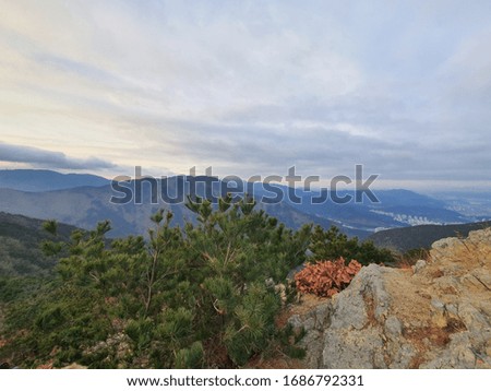 A picture of the summit of mountains in Korea