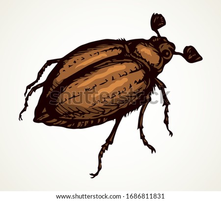 Cute female melolonthinae on light paper text space backdrop. Freehand linear dark brown color ink pen hand drawn picture logo emblem. Art retro doodle engrave print style. Close up micro detail view