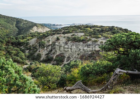 Green juniper forest in the Caucasus mountains off the coast of Anapa. View of the Great Utrish Peninsula. Gorge among the hills.