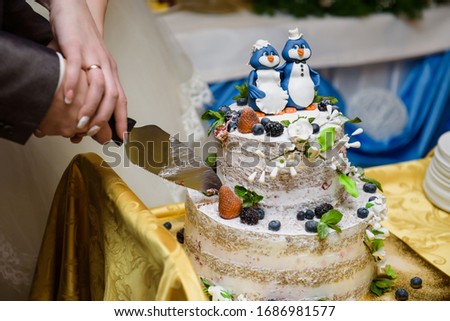 Bride and a groom is cutting their  wedding cake on wedding banquet. Hands cut the cake with two cute penguins.