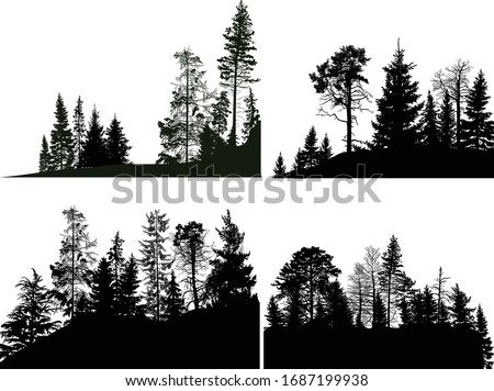 illustration with group of trees set isolated on white background