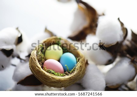 Bird's nest with eggs. Willow branches first greens. Easter background. Palm Sunday. Christian holiday. Spring background.