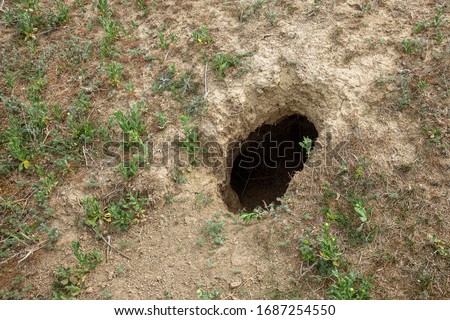 city of animals. colony of wild wild animals on hill, covered with labyrinth of holes. Rabbit holes. Foxholes. Animal burrows in steppe hilly zone. Traces animals. Earthy house in wild Royalty-Free Stock Photo #1687254550