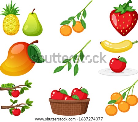 Large set of different types of fruits on white background illustration