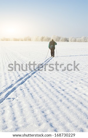 Cross-country skier skiing through winter field surrounded by snowy trees