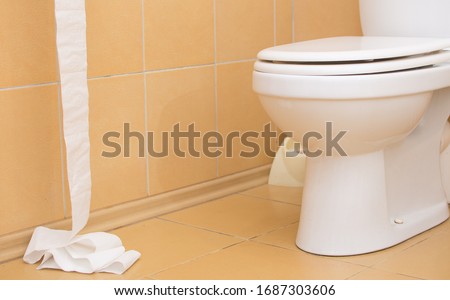 Roll of unwound white toilet paper hanging on a toilet paper holder in the bathroom interior Royalty-Free Stock Photo #1687303606